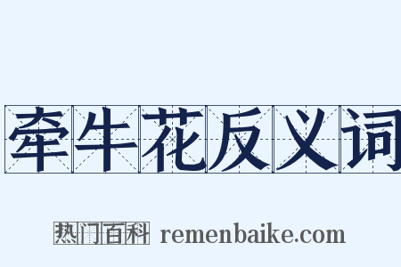 牵牛花反义词是什么意思的图片